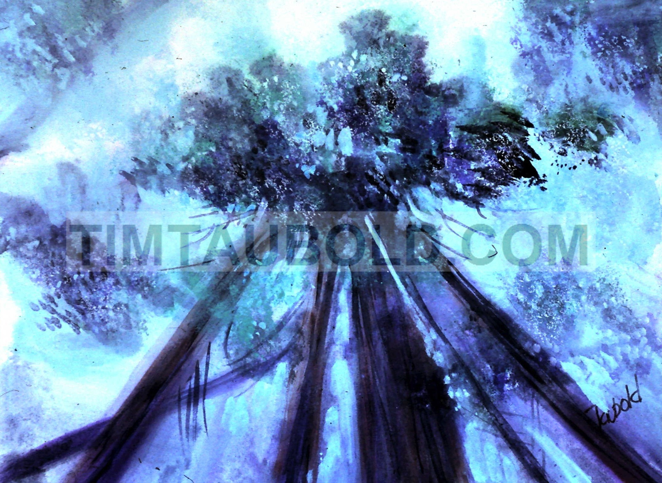 Tim Taubold Art Redwood Perspective